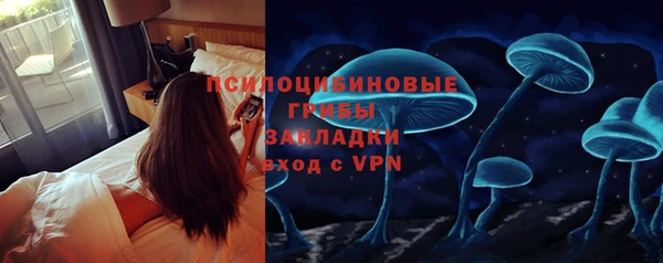 мяу мяу мука Белокуриха
